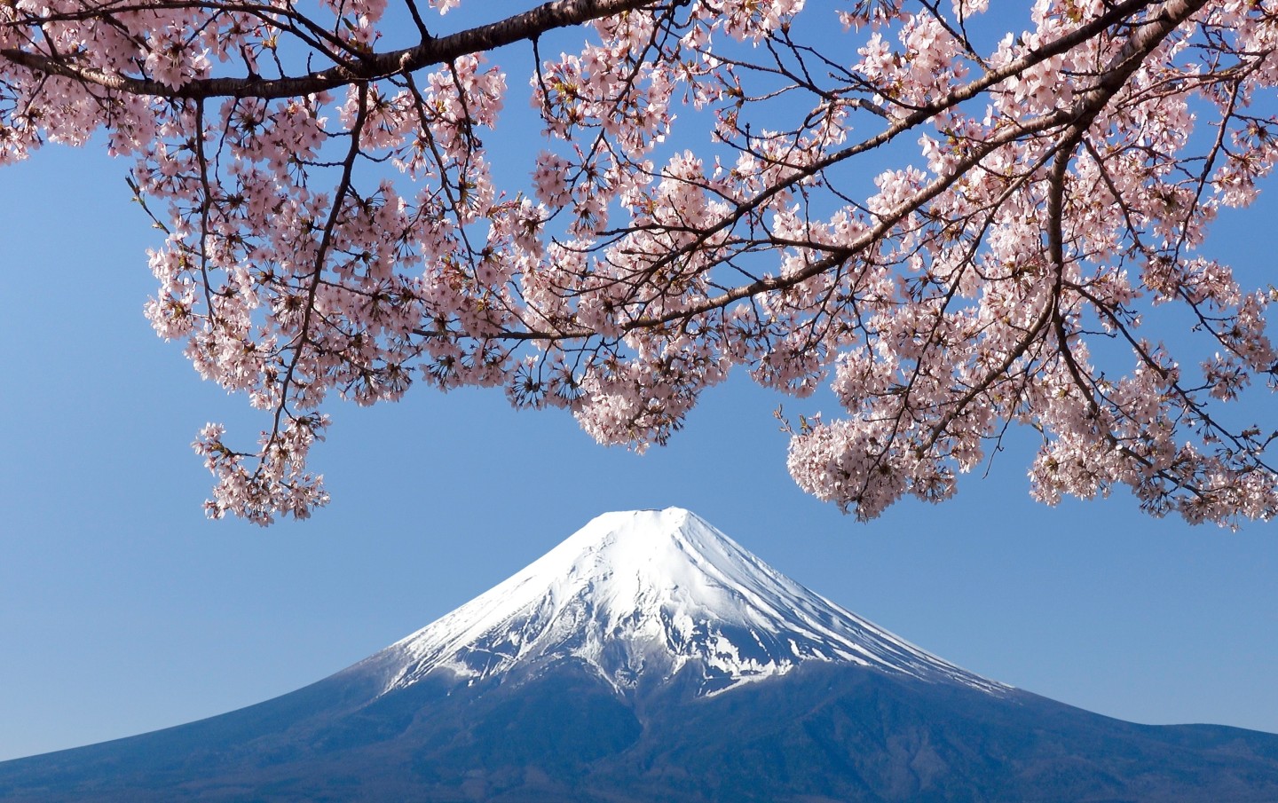 shutterstock_2337510813 (1)